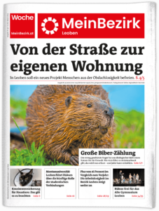 Titelseite MeinBezirk Steiermark